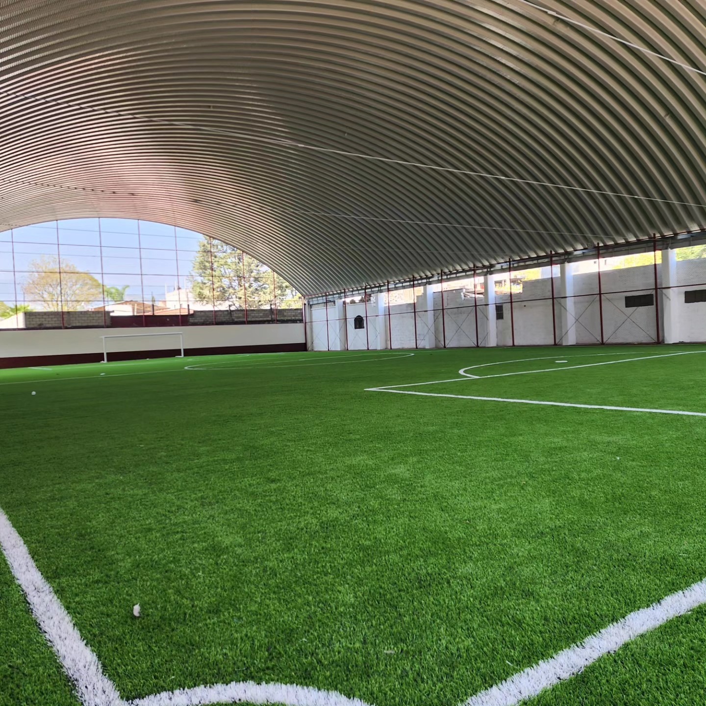 Lee más sobre el artículo Canchas en Cd. Mendoza