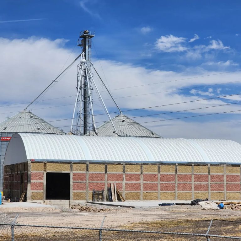 Lee más sobre el artículo Almacén de grano en León, Guanajuato